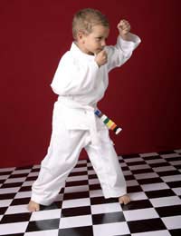 Karate Martial Arts Discipline Students